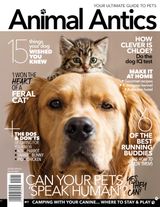 Animal Antics
