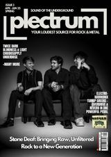 Plectrum